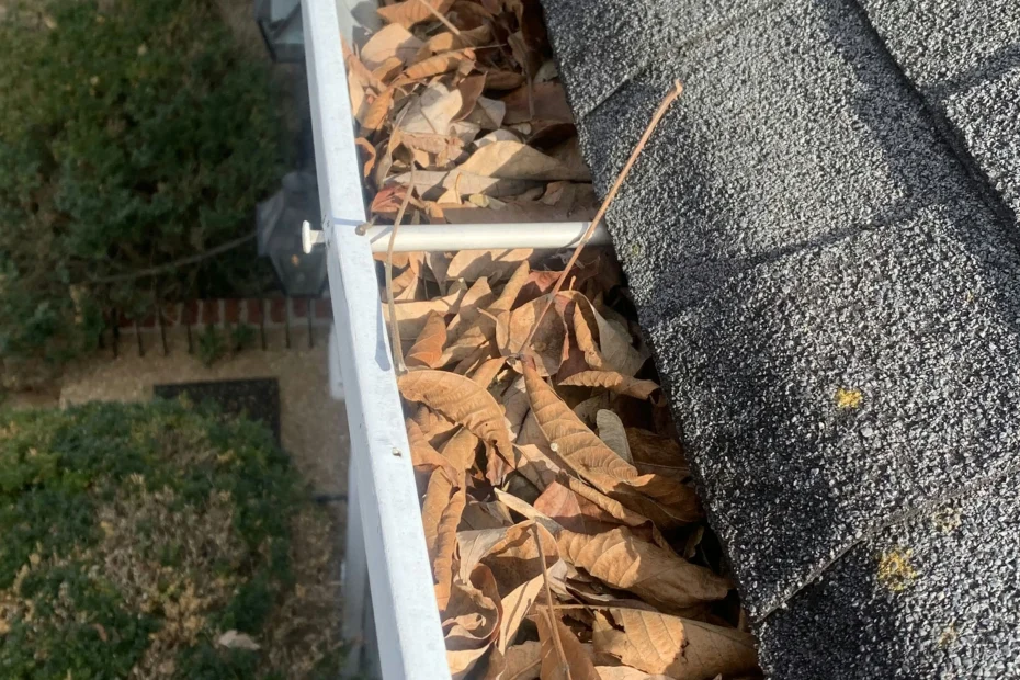 Alexandria Gutter Cleaning