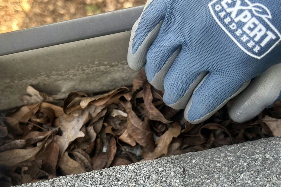 Gutter Cleaning Alexandria VA