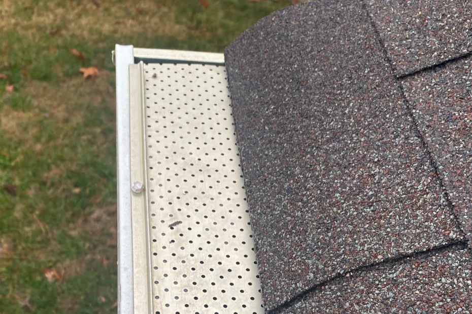 Gutter Cleaning Alexandria VA