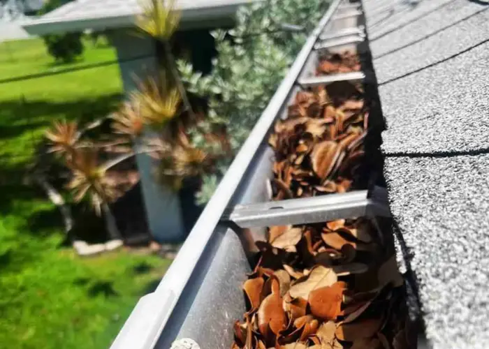 Gutter Cleaning Alexandria VA home page